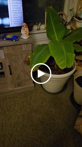 Customer video review of Veropeso 47" Barn Door Farmhouse Fireplace TV Stand