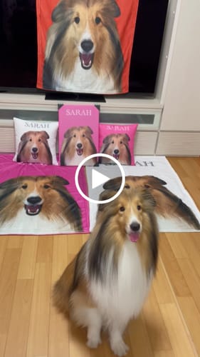 Customer video review of Petcanva©オーダーメイド ペット似顔絵