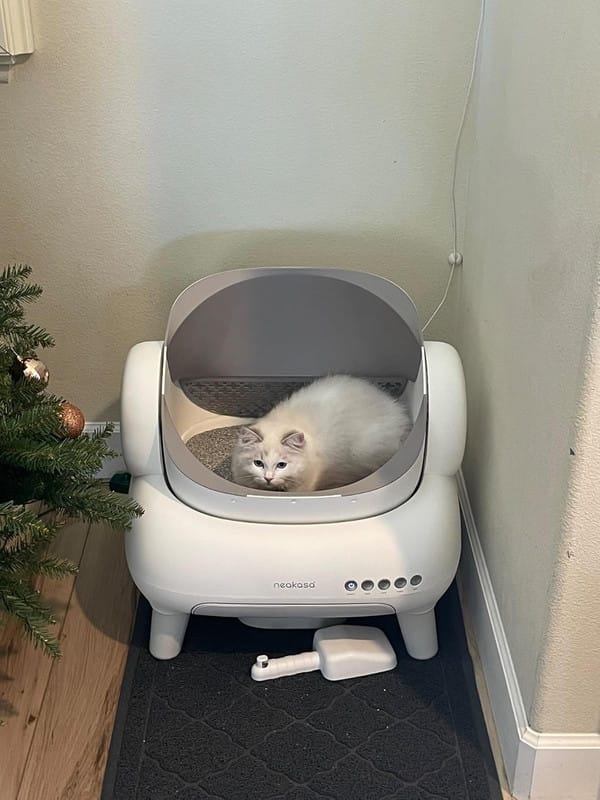 Customer photo review of Neakasa M1 Lite Automatische Katzentoilette