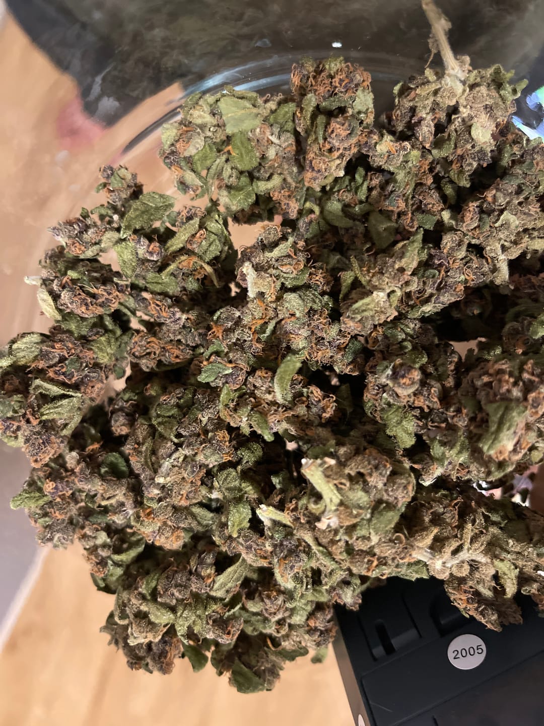 Customer photo review of Dry Ferm Bag (3er Set)