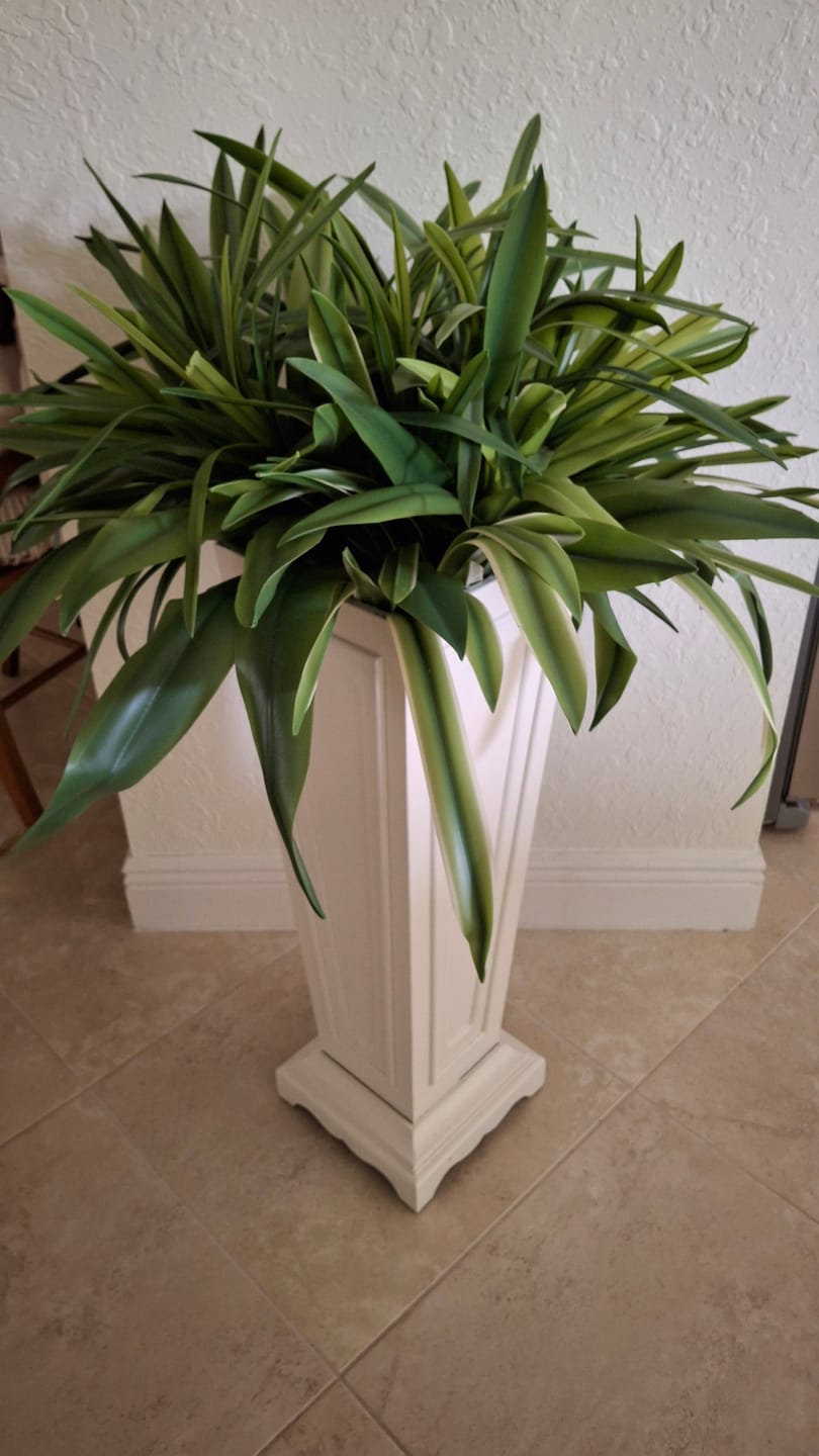 Customer photo review of Olympia Real Touch Agave Pick