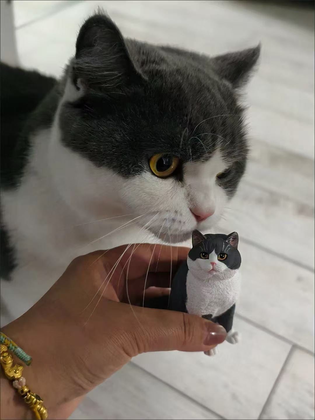 Customer photo review of Custom Pet  Figurine
