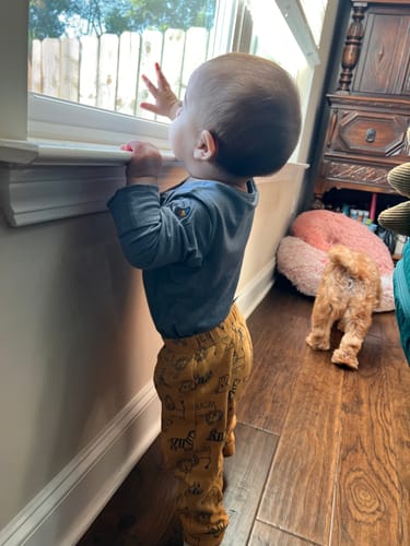 Customer photo review of ClimaCuddle Baby Bodysuit Long Sleeve - Merino Wool & Rayon Bamboo - Misty Blue