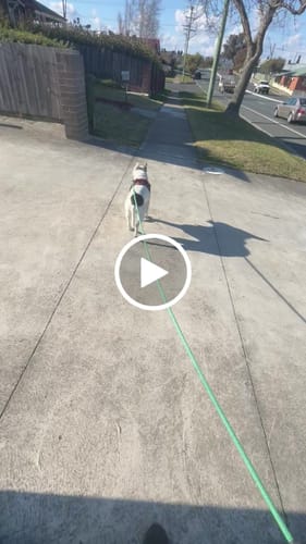 Savannah H. review of Soft Rope Slip Lead 8mm image 1 out of 1