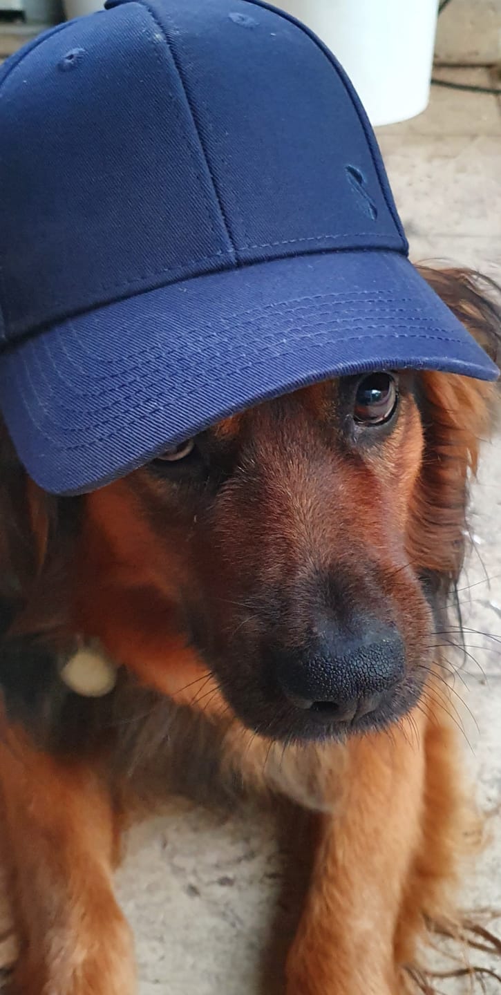 Customer photo review of 5G Strahlenschutz Cap Anti-Elektrosmog Damen & Herren
