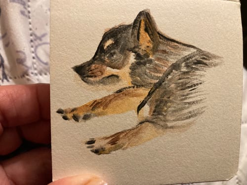 Customer photo review of Mini Kit Acquerelli Tobios