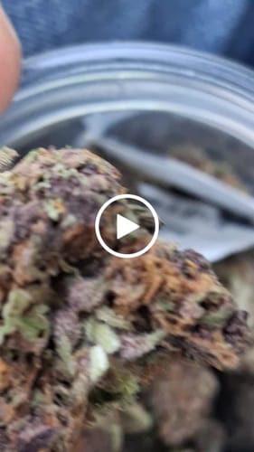 Customer video review of Granddaddy Purple - 28 Grams - Indica