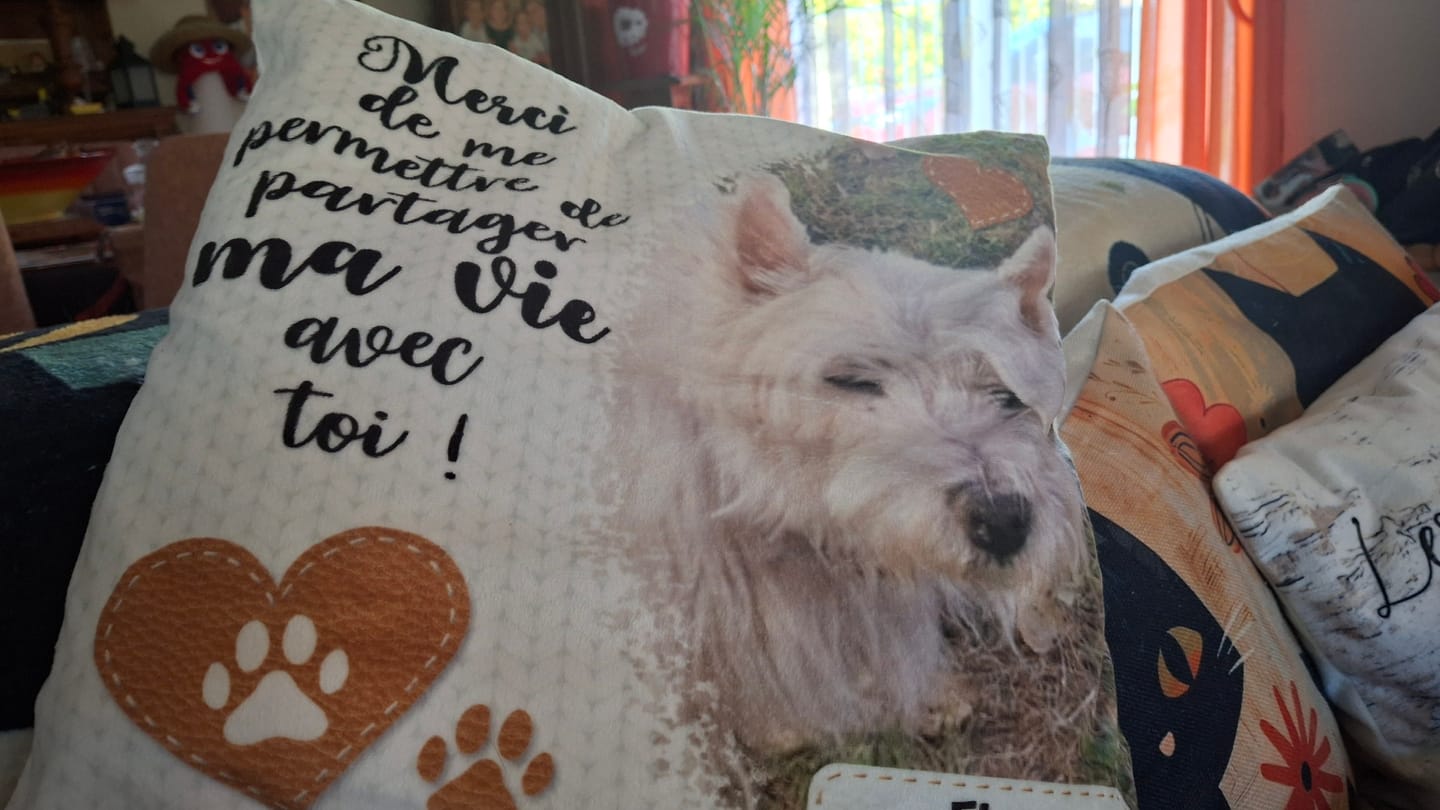 Customer photo review of Merci - Coussin personnalisé