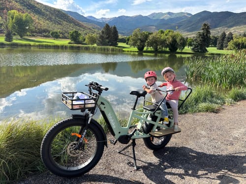 Customer photo review of Yoto Lion Max Family Cargo Ebike