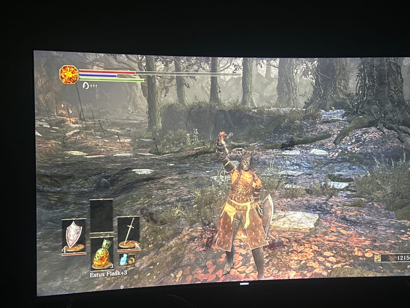 Customer photo review of Dark Souls 3 Items & Souls