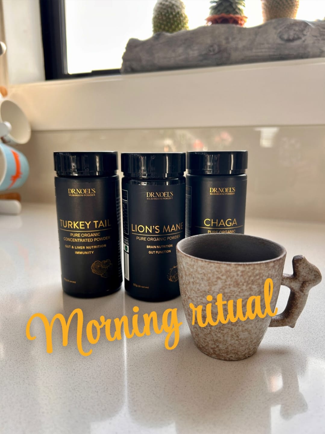 Customer photo review of Organic Chaga Mushroom Extract Powder