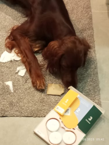 Customer photo review of Wurmtest Basic Hund Sparpaket