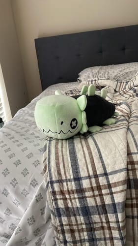 Customer photo review of Rain World - Glowing Green Lizard Plush