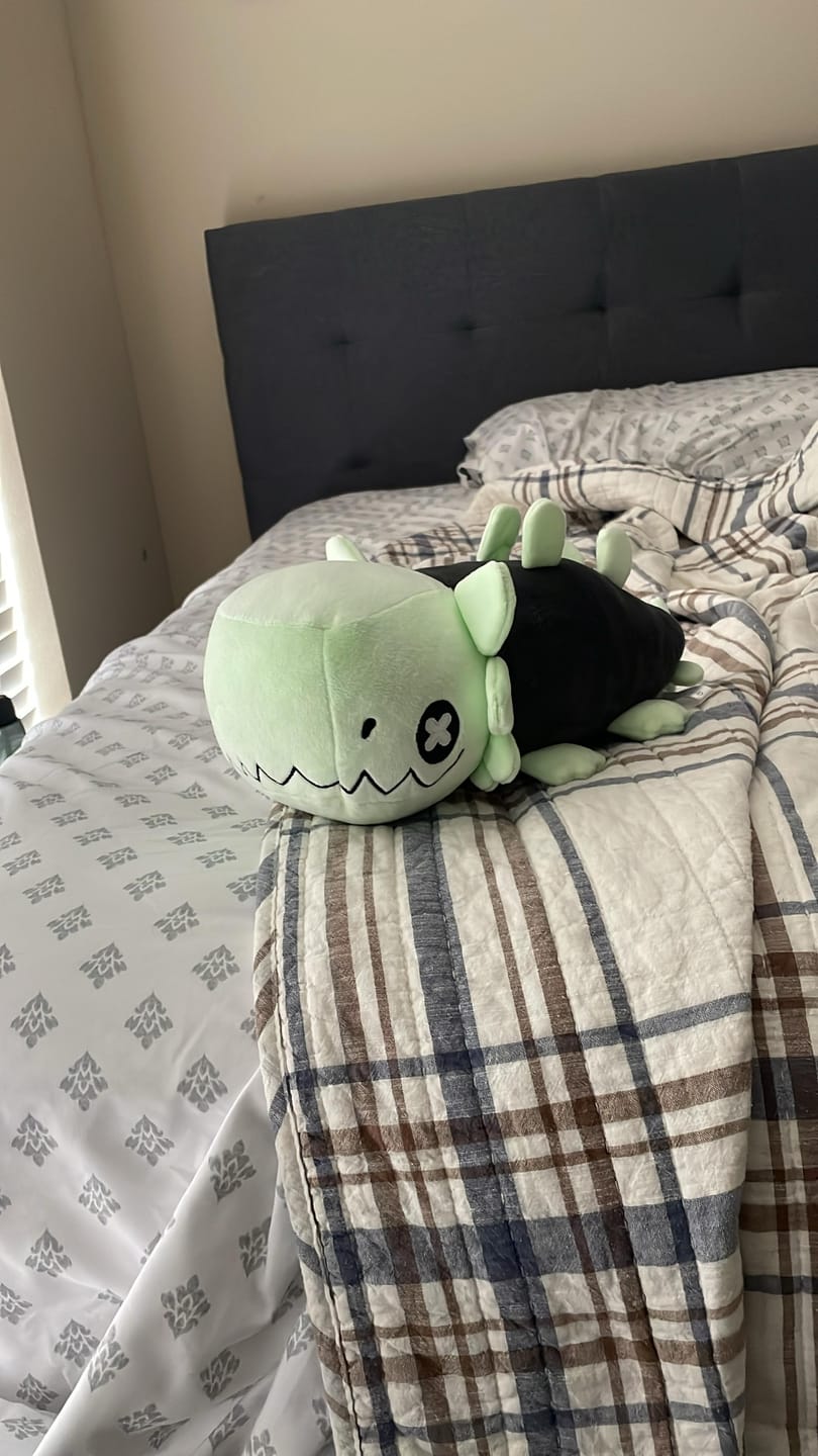 Customer photo review of Rain World - Glowing Green Lizard Plush