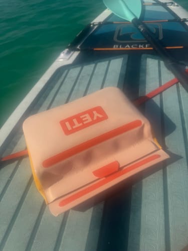 Customer photo review of MINI FREEZE - 3.5LB