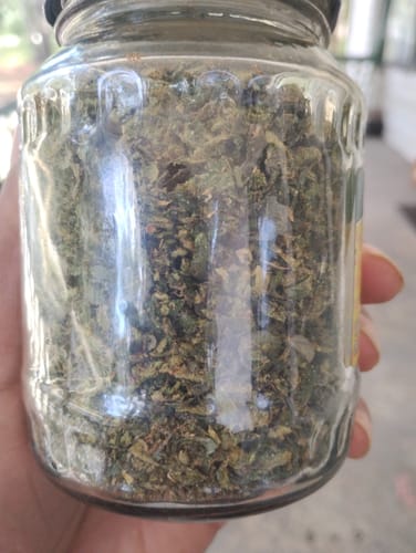 Customer photo review of Exotic Shake