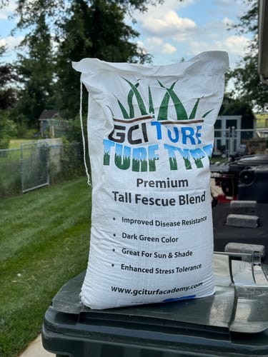 Customer photo review of GCI Turf Type Tall fescue Grass Seed