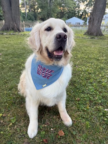 Customer photo review of Embroidered BUF Applique Bandana