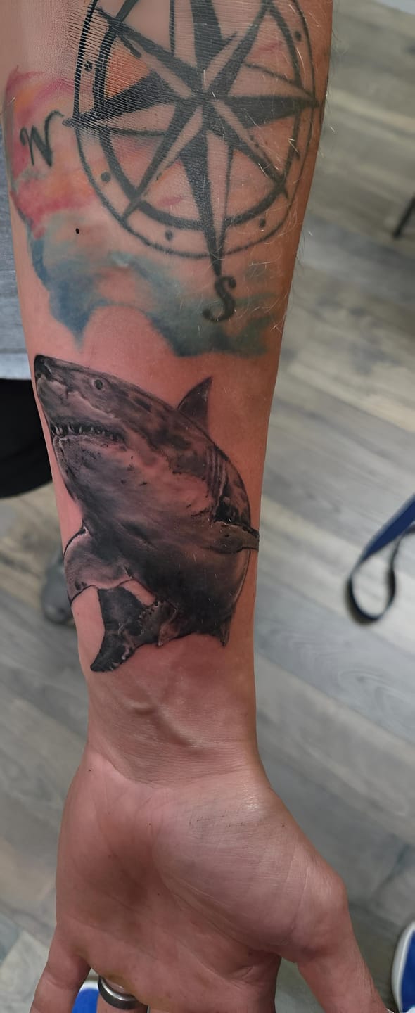 Customer photo review of JCONLY VETAR Tattoo Cartridge Needles Round Liner