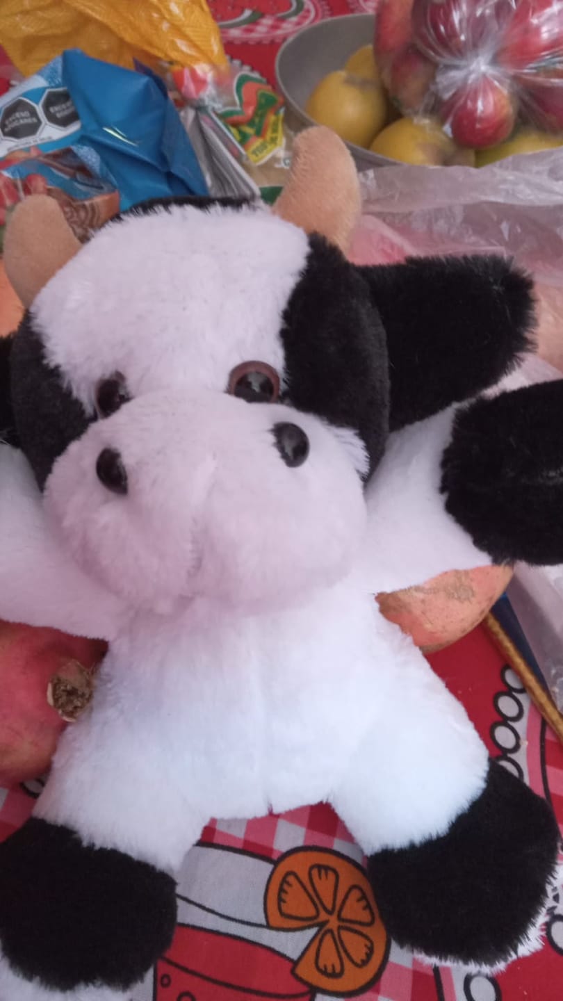 Customer photo review of Frisolac Gold Comfort Multio (0-12 Meses) Pack C/ 1.6 Kg