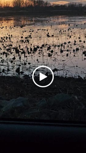 Customer photo review of TideWe DeepWade Hunting Waders for Men - Breathable Bootfoot Waders