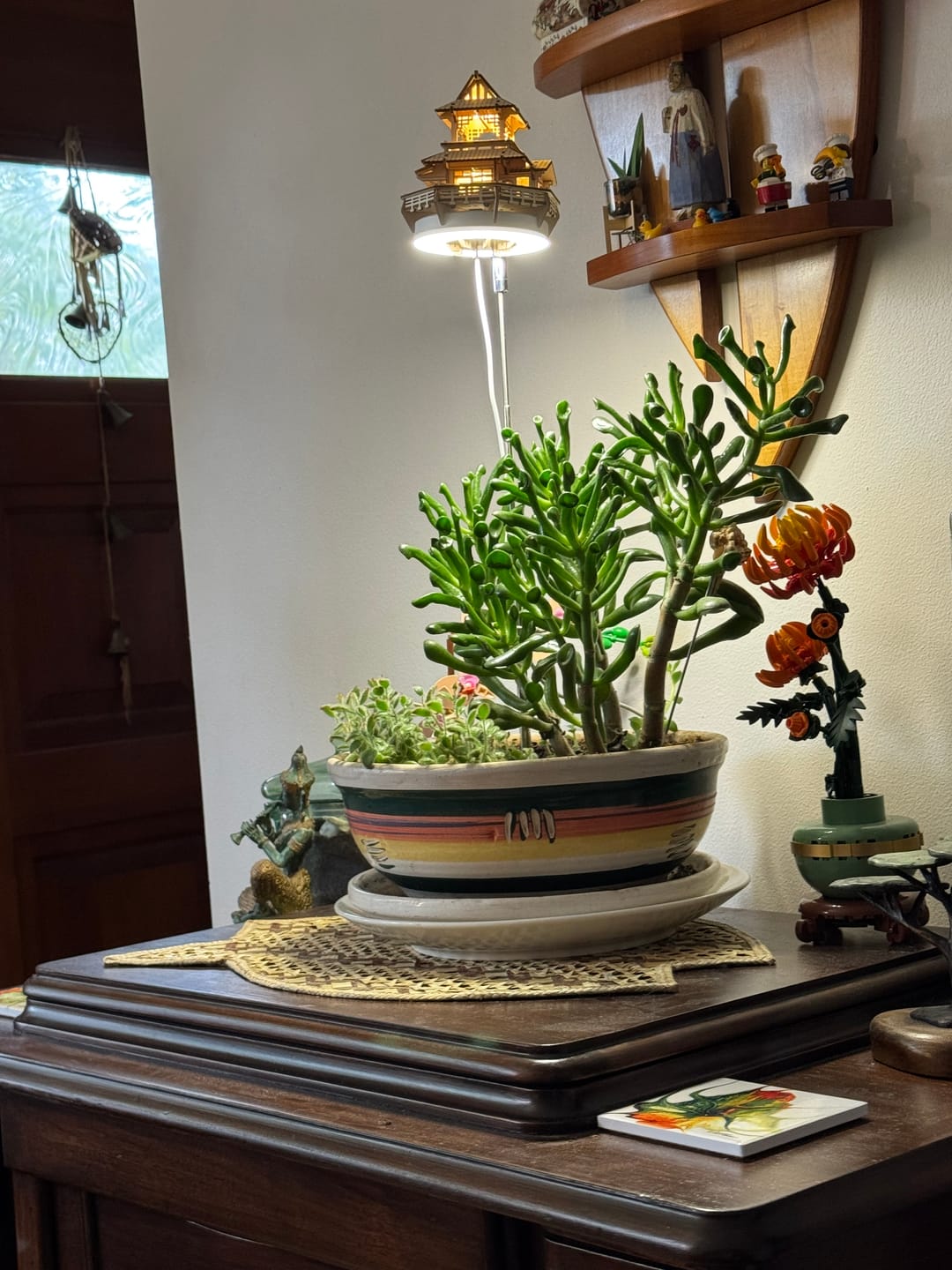 Sunrise Terrace + Grow Light