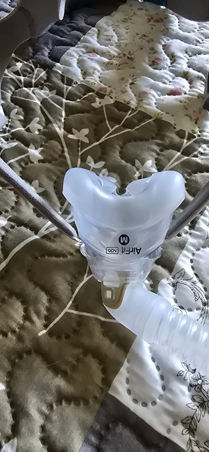 Customer photo review of ResMed AirFit™ N20 Nasal Mask Cushion