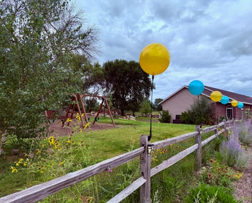 Customer photo review of DuraBalloon® Vertical Bracket Kit