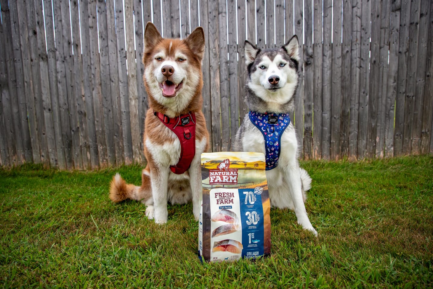 Customer photo review of Natural Farm Fresh from the Farm Fish Recipe with Collagen - Joint & Coat Support for All Life Stages