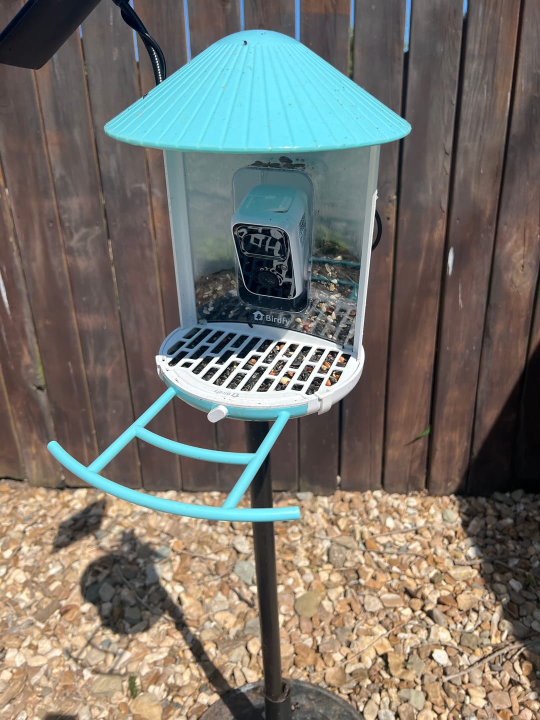 Customer photo review of Birdfy Bird Seed Guard