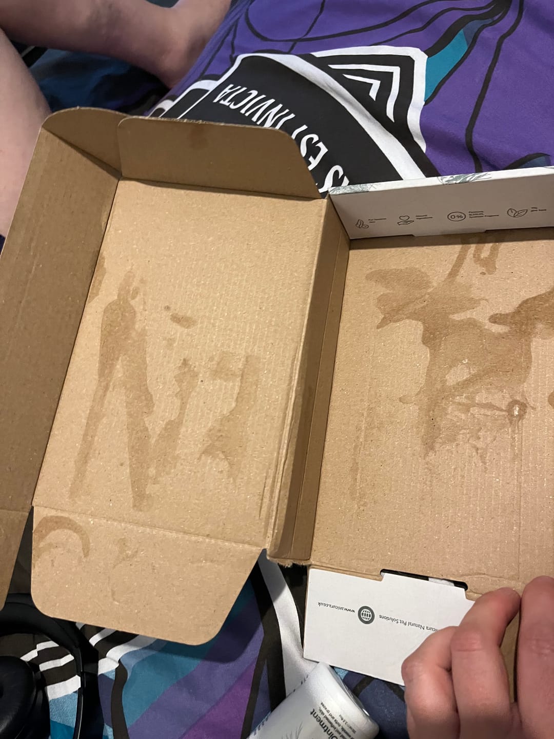 Customer photo review of Cat Duo Pack