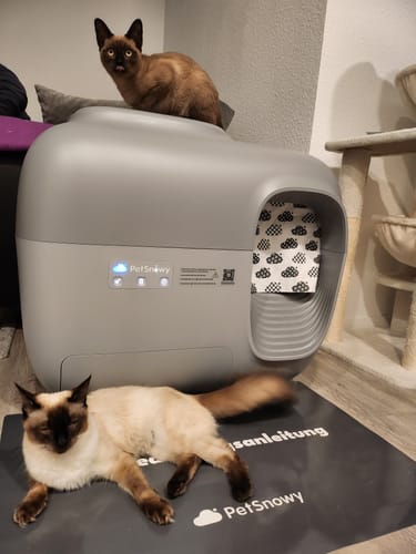 Customer photo review of Self-Cleaning Litter Box