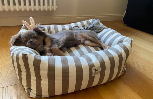 Customer photo review of Divanetto Cotone Premium Righe Larghe Marrone