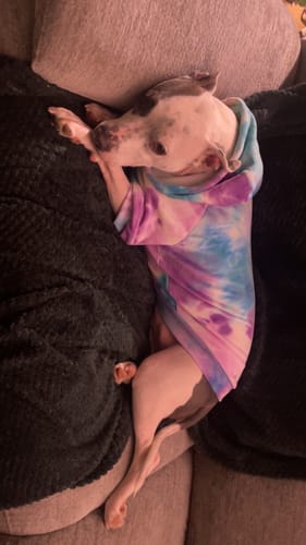 Customer photo review of Velvet Dog Hoodie - 90s Retro