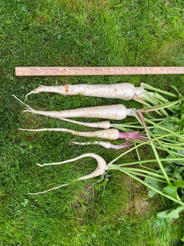 Customer photo review of 17” Tall Modular 9 in 1