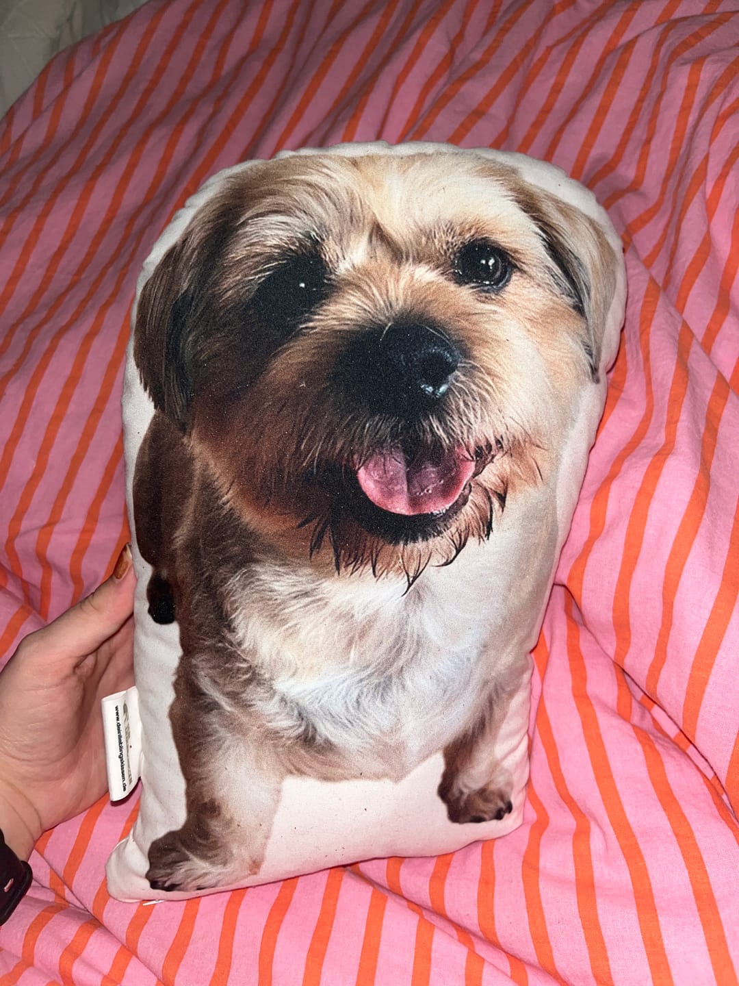 Customer photo review of Personalisiertes Hundekissen