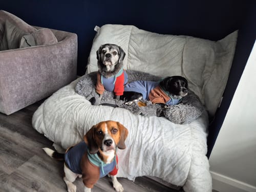 Customer photo review of Color Block Human Hoodies