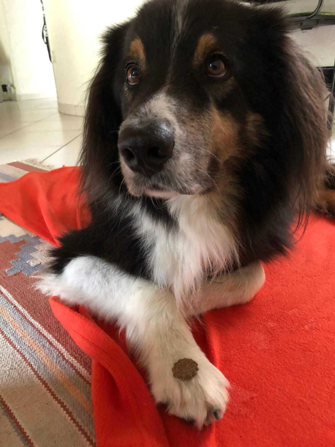 Customer photo review of Tummy Love: Für Magen und Darm