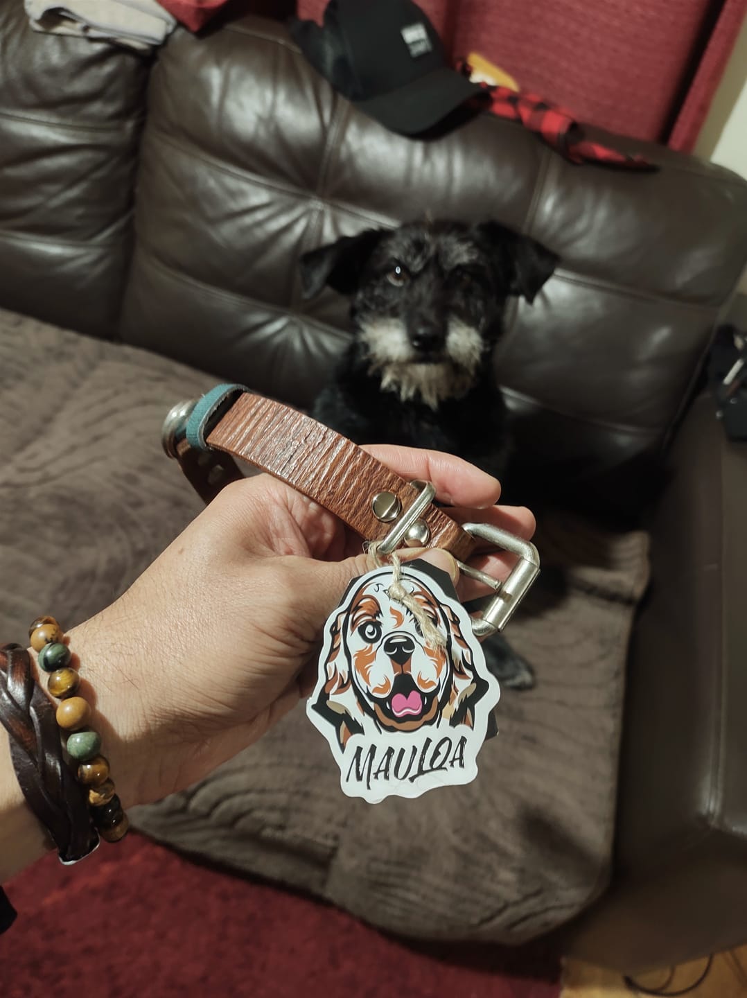 Customer photo review of Collar Duke Marrón Corrugado Envejecido/Jeans