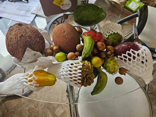 Customer photo review of Tropical Variety Box