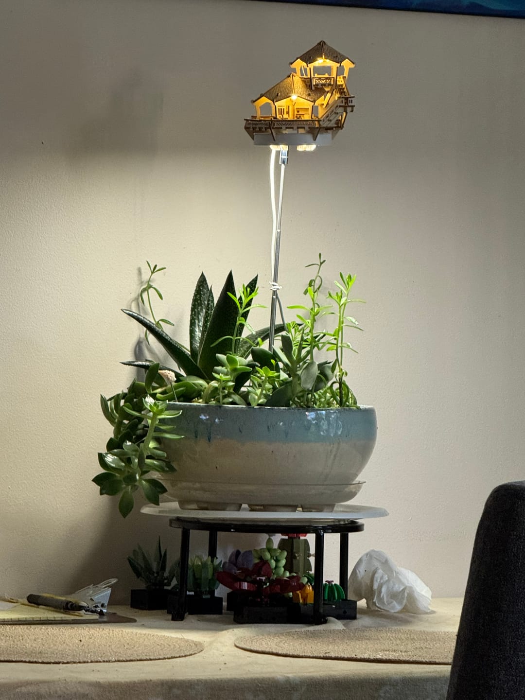 Island Cabana + Grow Light