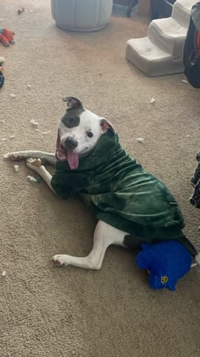 Customer photo review of Velvet Dog Hoodie - 90s Retro
