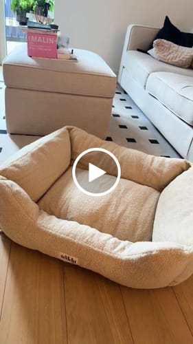 Customer video review of The Cosy Bed