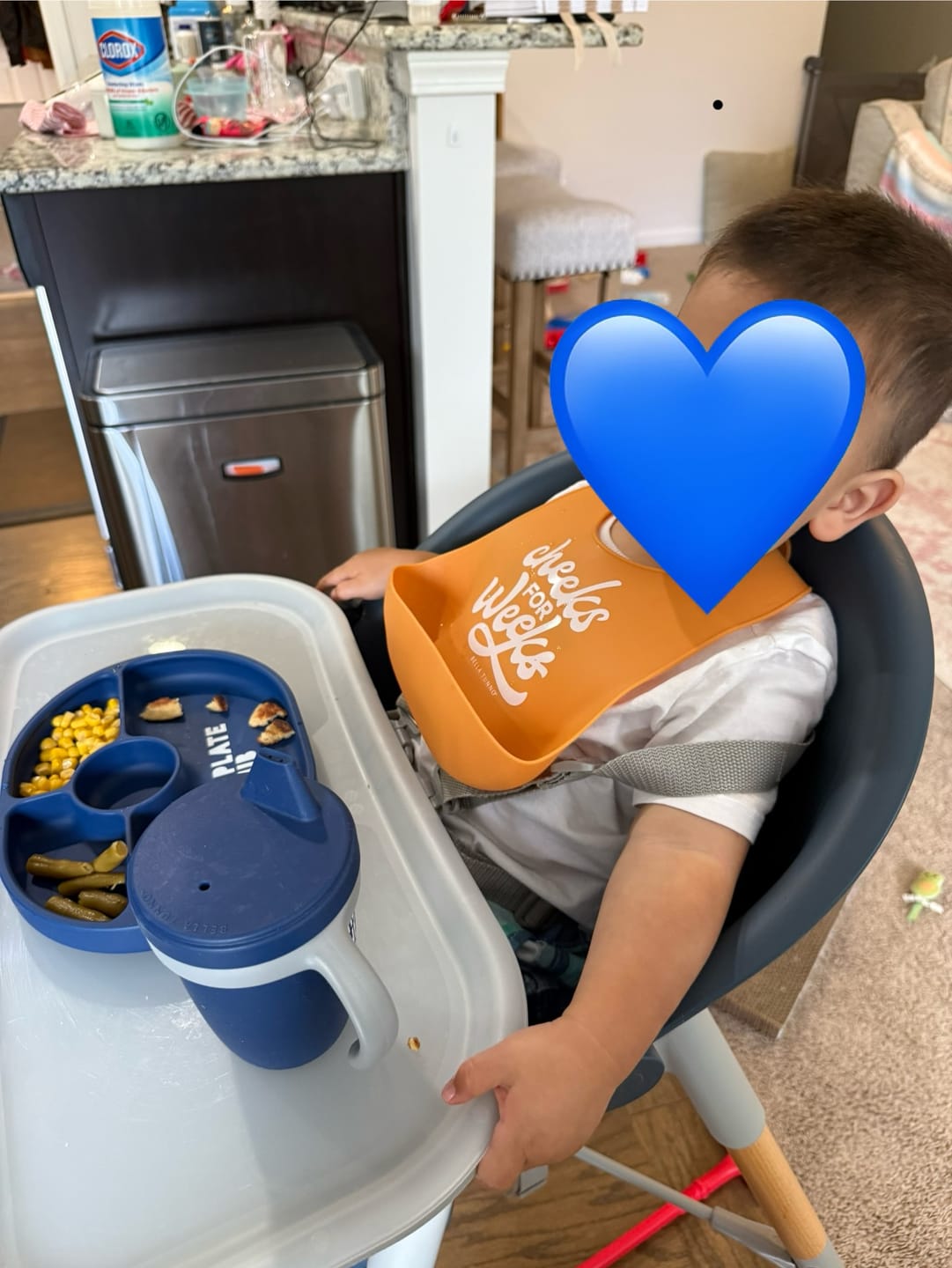 Customer photo review of Cheeks For Weeks Wonder Bib