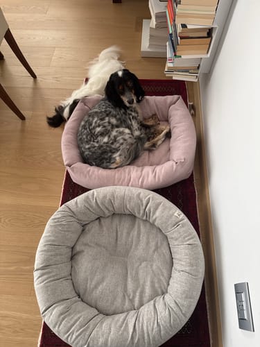 Customer photo review of Cuccia Tonda Mattias Grigio Chiaro (Soft Touch)