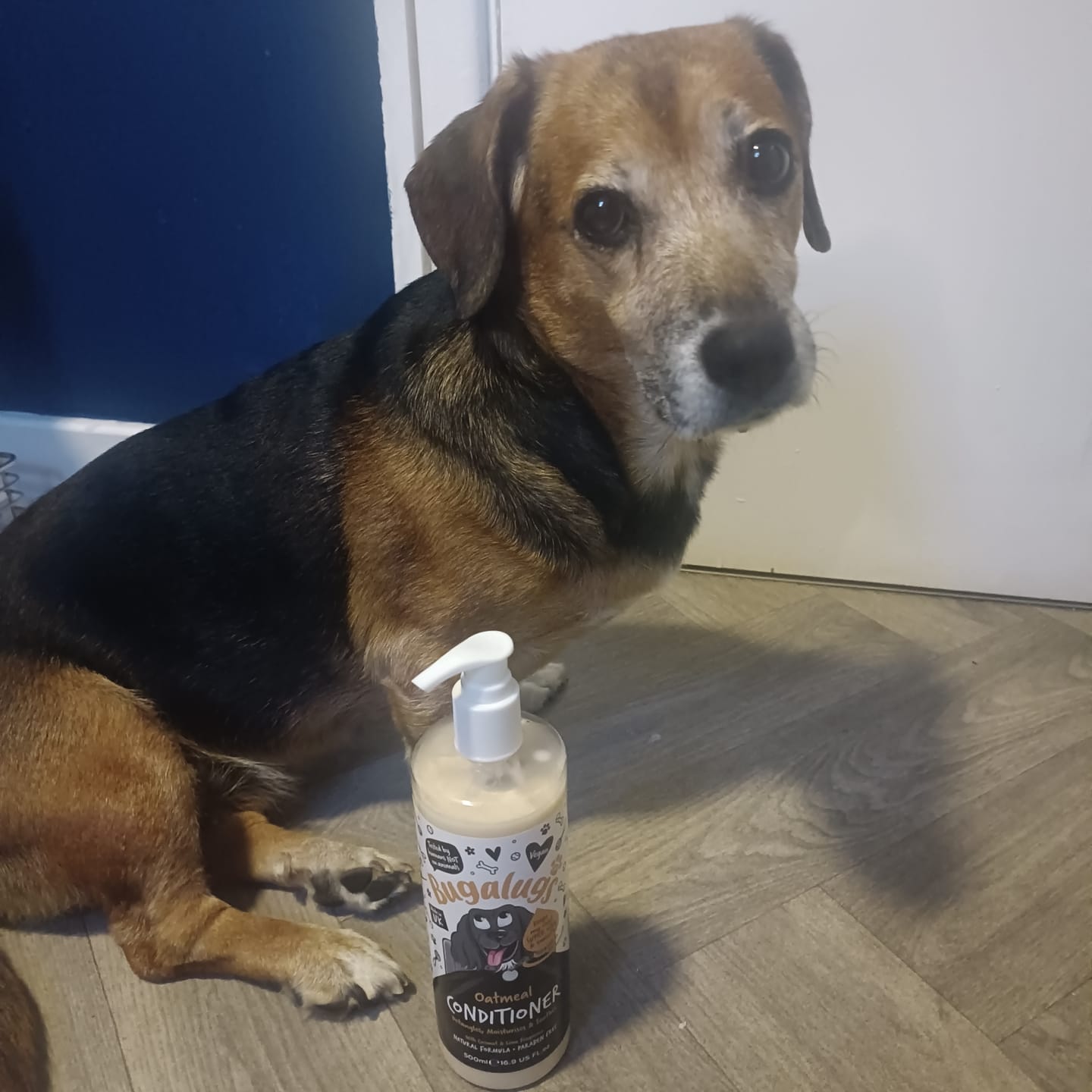 Customer photo review of Oatmeal Dog Conditioner with Coconut & Lime