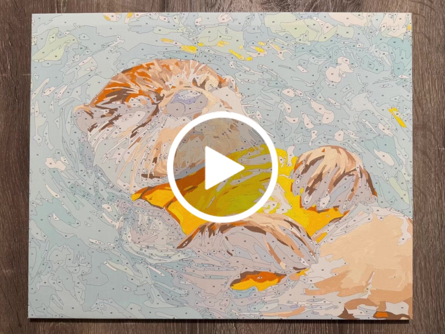 Customer video review of Dreaming Otter