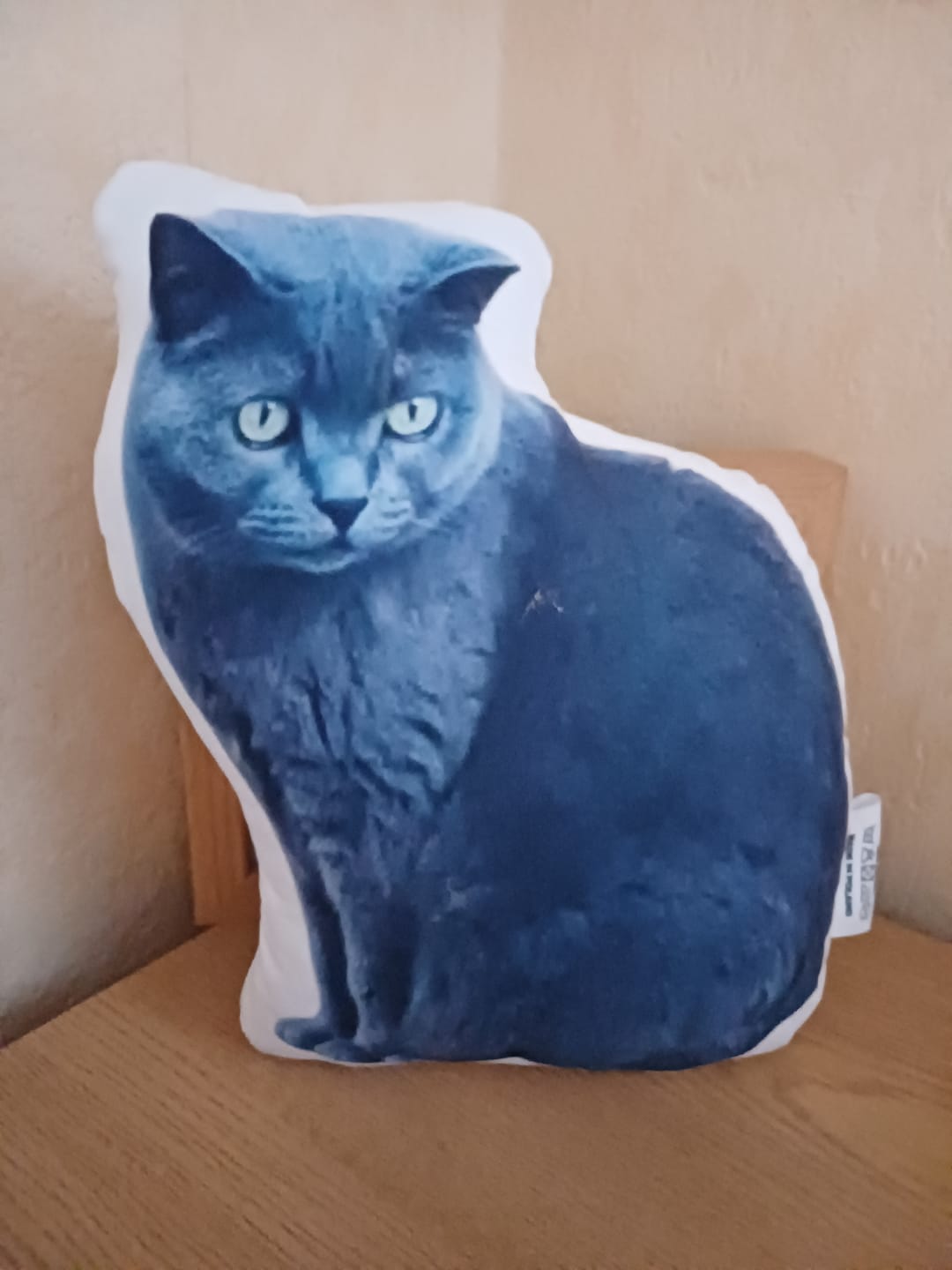 Customer photo review of Personalisiertes Katzenkissen
