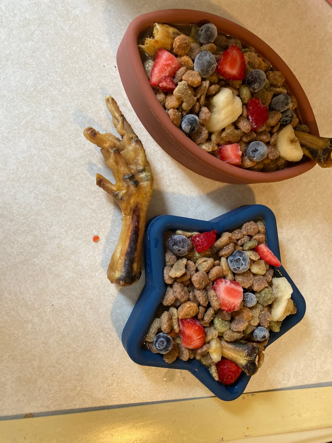 Customer photo review of FreezStar - Long-Lasting Star Chew