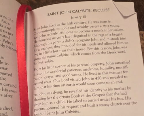 Customer photo review of Lives of The Saints - Hardcover - 6/pk